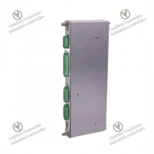 BENTLY 125800-01 Custom Processing Module